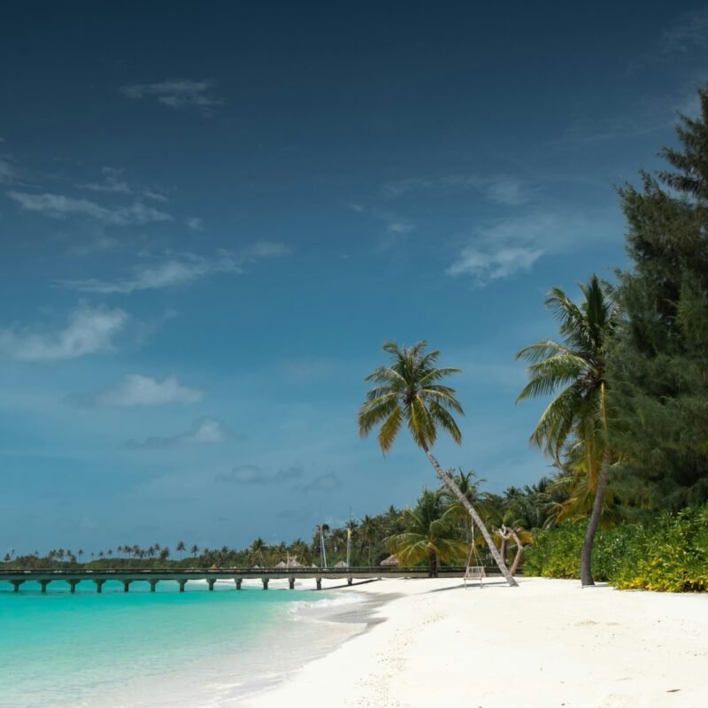 discover maldives